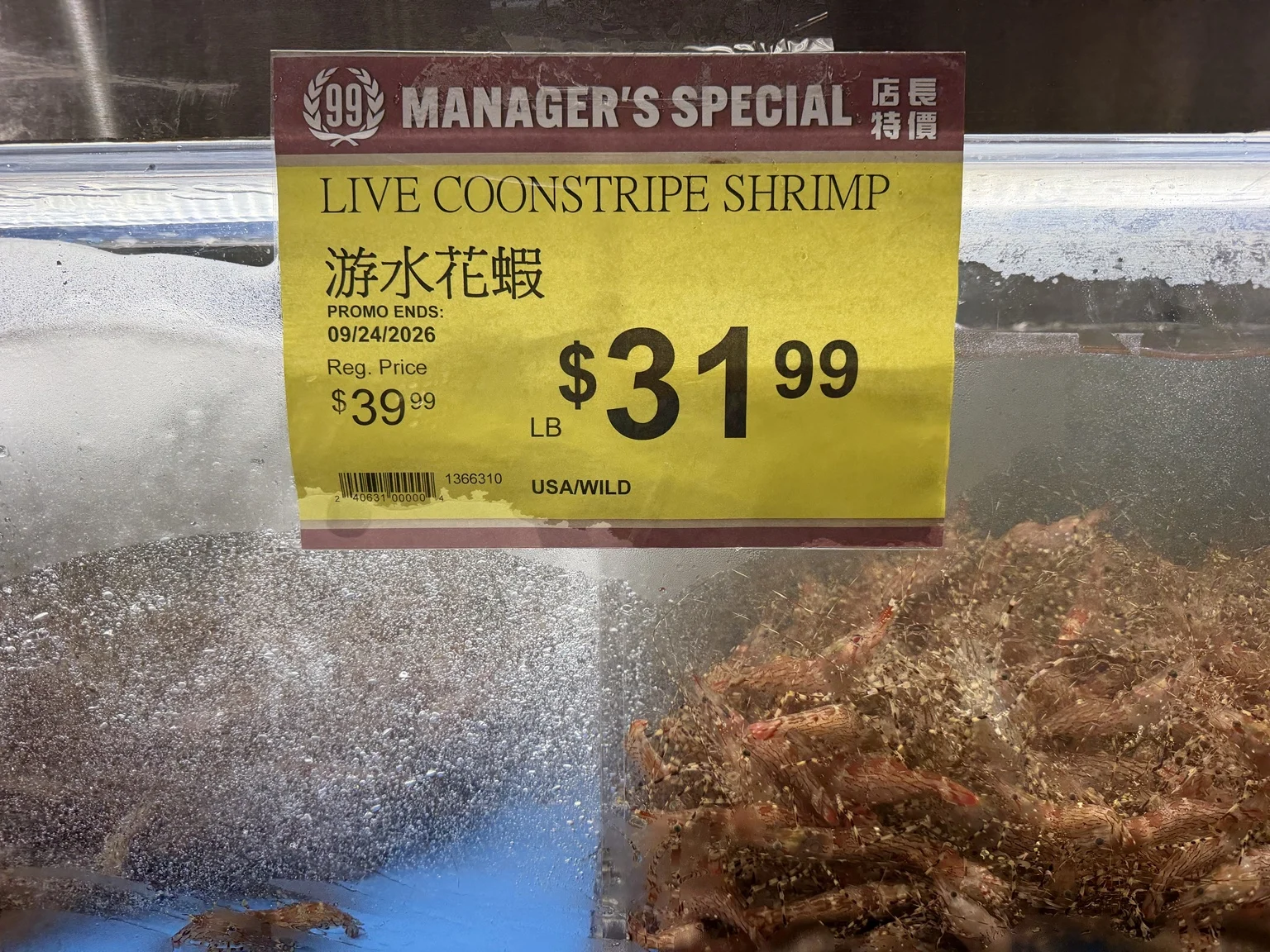 99 Ranch Market sign advertising live country shrimp for $31.99 per pound