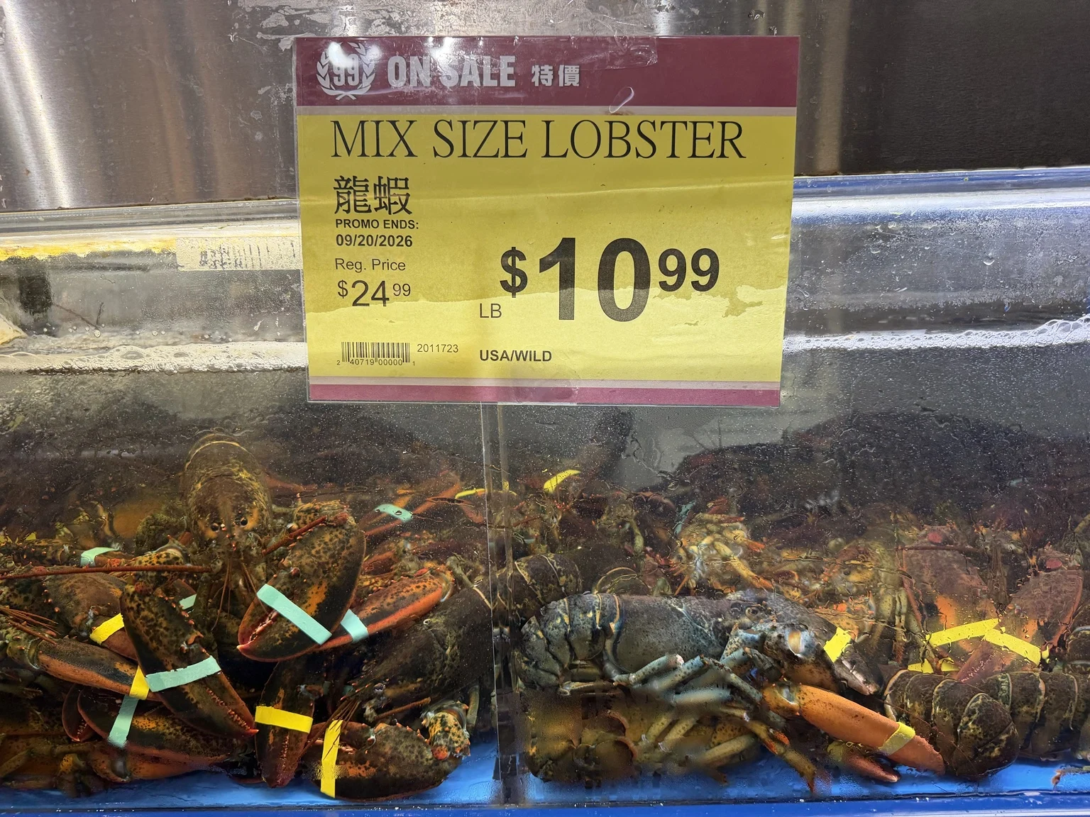 99 Ranch Market tank of live lobsters on sale for $10.99 per pound