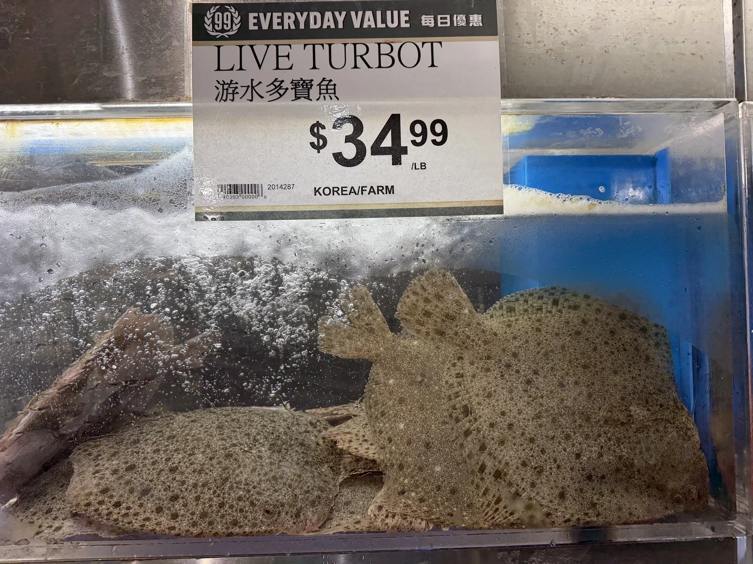 99 Ranch Market sign advertising live turbot for $34.99 per pound